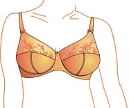 bra design